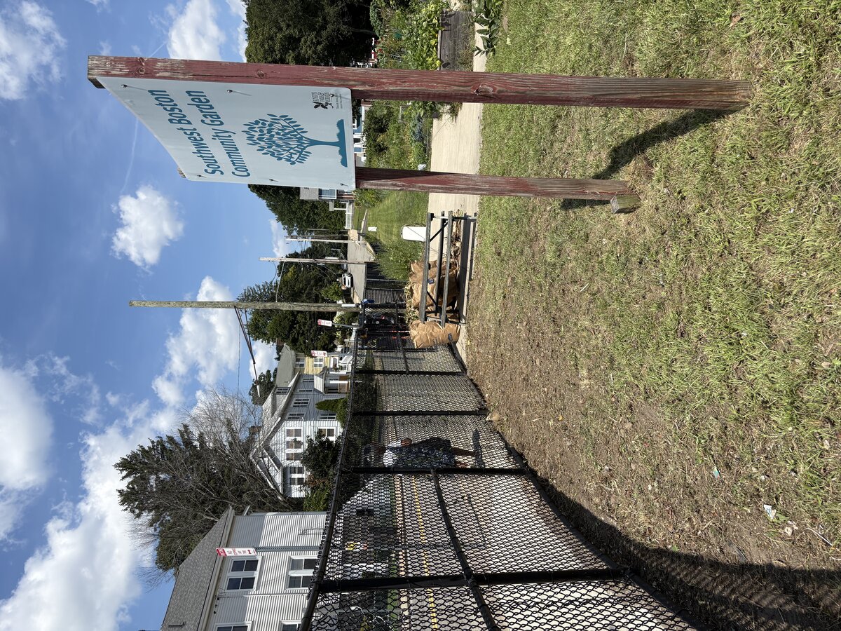 Cleared walking path at Southwest Boston Community Garden after cleanup