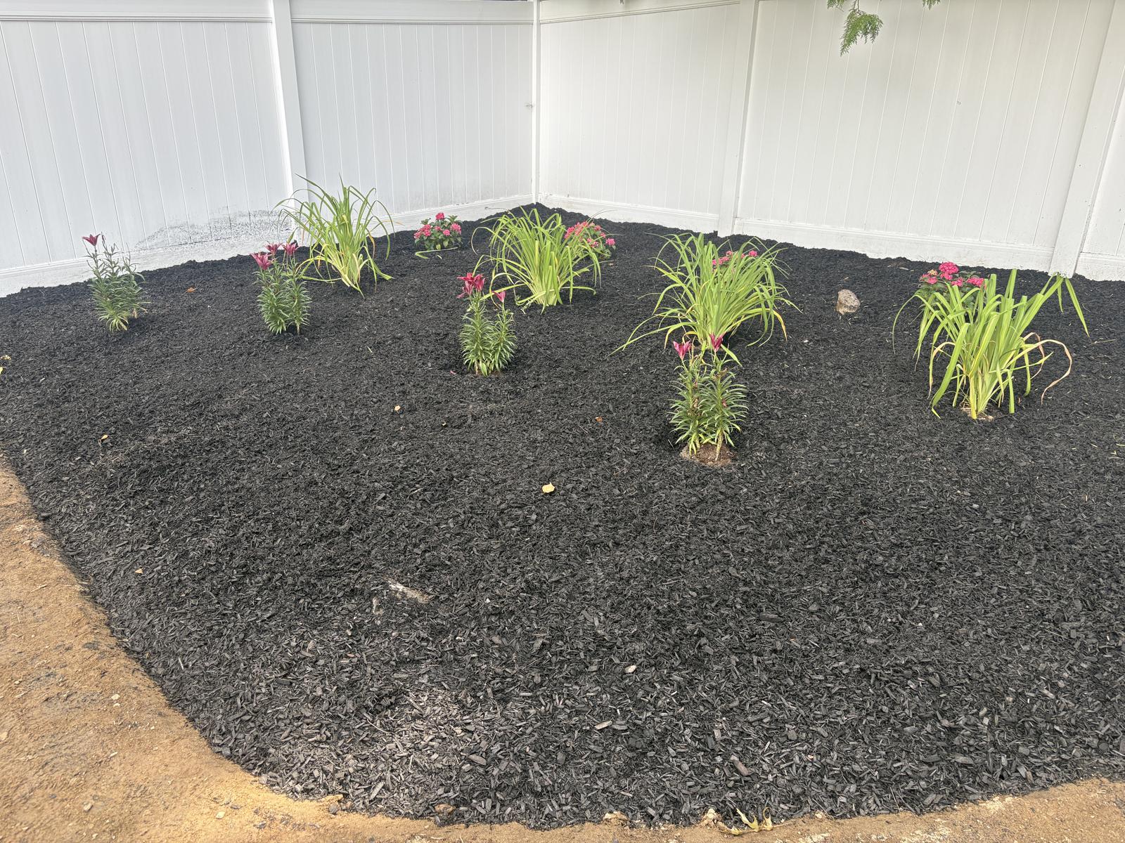 Finished mulch planting bed with new plantings